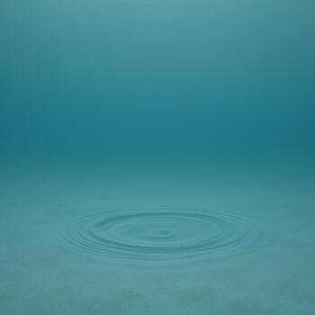 Small fish looping slowly at the edge of a soft dome of light