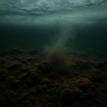 Soft mud bottom with faint marks from fish and tackle